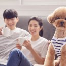 구민동물병원 이미지