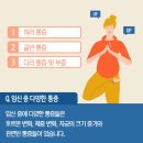 영 앤 카우 이미지