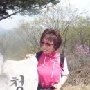음암초등학교 이미지