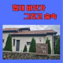 협재바닷가그리고숲속
