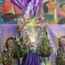 황금이삭 이미지