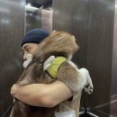 개와고양이 반려동물원 스포츠경향