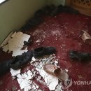(주)리크루즈 이미지