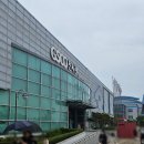 50 | [군산 렙타일페어] 50회 전북 파충류박람회 투어 후기! 다음 행선지는 청주!!