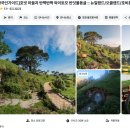 은하수여관 | 뉴질랜드 오클랜드 호빗 마을 와이토모 반딧불 동굴 프라이빗 투어 총정리 33만부터