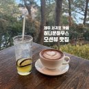 허니문 하우스 | 제주 서귀포 대형카페 추천 허니문하우스 오션뷰 카페후기