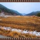 소로리 농장 이미지