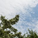 망골근린공원 이미지