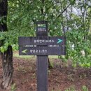 DMZ 평화의 길 8코스 (예약노선) 이미지