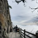 황산카정비 네이버블로그