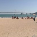 백사장 이미지