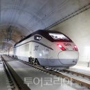 에스알투어