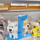 진도명품관 | 진도 특산물 판매장. 진도명품관, 진도바다 특산품 판매장 홍주 구매후기