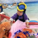 김은영 | [반짝반짝 똘망이]똘망이 문센수업 후기!!(김은영쌤👍)