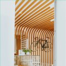 황금오리 이미지