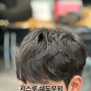 리안헤어산곡더루츠
