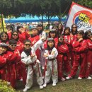 번개태권도 이미지