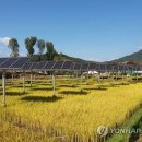 환영 태양광발전소 이미지