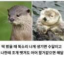 전주비빔밥(주) 이미지
