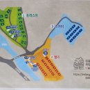 #36. 진동리 국민여가캠핑장