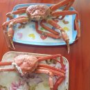 장사솔밭펜션 이미지