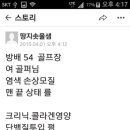 씬헤어 이미지