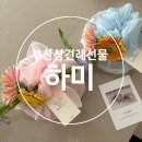 하미 | 부산 상견례선물 하미케이크 과일송편 내돈내산 솔직후기