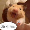 달달애 - 의정부시 용현로 144 | w1. 첫인사 - 장소, 선물 후기