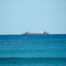 다시오리 이미지