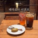 미니 쇠소깍 | 제주 테라로사 서귀포점 커피 맛집 분위기 좋은 쇠소깍 카페 추천