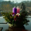 대림초등학교 이미지