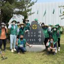 온양4동 온천대로 이미지