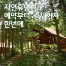 전국자연휴양림