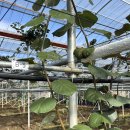 남문농장 이미지