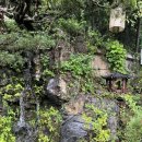 새집상회 | 2025년 10월 임산부 일상