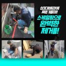 신선동-10 이미지