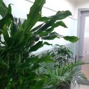 은광주유소 | 은광여자고등학교 3학년 자녀를 둔 엄마의 이야기