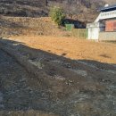 대지부동산중개인사무소 이미지