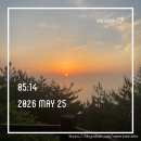 강릉임해자연휴양림 | 강릉 여행 임해자연휴양림 구름동 321호 , 동해 일출까지 보고 완벽한 숙소~!
