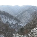 자연주의와산야초 이미지