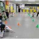 멘토태권도교육관 이미지