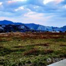 부곡동 돌담해안숲공원 이미지