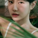 데이브로우 이미지