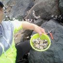 죽림4로 이미지