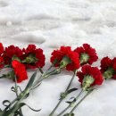다이소봉림점