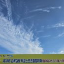주식회사 뉴스포츠센터 이미지