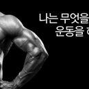 휘트니스랜드헬스 이미지