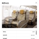 할리스커피김포 | 아시아나 비즈니스석 OZ8951 김포→제주 w/아기랑 (5A,5C 맨 뒷자리 선택 이유)
