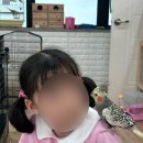 엘 미니동물원 네이버블로그
