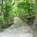 궁지골농원 이미지